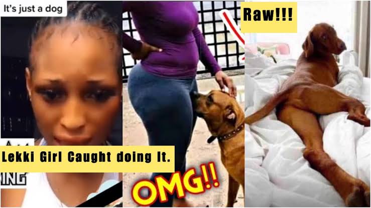 dog and girl original viral video dog and girl original viral video